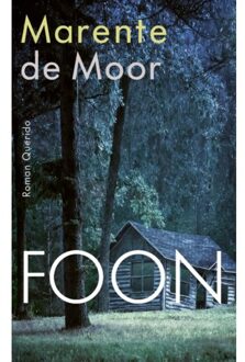 Singel Uitgeverijen Foon - Boek Marente de Moor (9021412004)