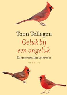 Singel Uitgeverijen Geluk bij een ongeluk - Boek Toon Tellegen (9021455242)