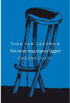 Singel Uitgeverijen Het moet nog ergens liggen - Boek Joke van Leeuwen (9021403978)