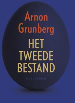 Singel Uitgeverijen Het tweede bestand - Boek Arnon Grunberg (9038804121)