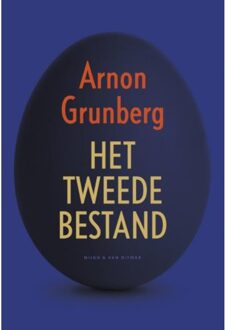 Singel Uitgeverijen Het tweede bestand - Boek Arnon Grunberg (9038804121)