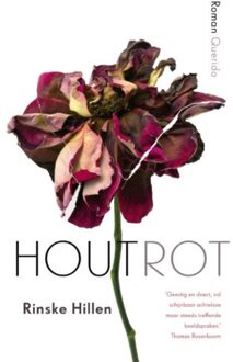 Singel Uitgeverijen Houtrot - Boek Rinske Hillen (9021407728)