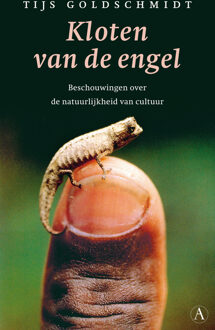 Singel Uitgeverijen Kloten van de engel - Boek Tijs Goldschmidt (9025366929)