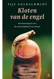 Singel Uitgeverijen Kloten van de engel - Boek Tijs Goldschmidt (9025366929)