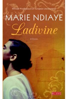Singel Uitgeverijen Ladivine - Boek Marie Ndiaye (9044532707)