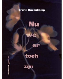 Singel Uitgeverijen Nu We Er Toch Zijn - Erwin Hurenkamp