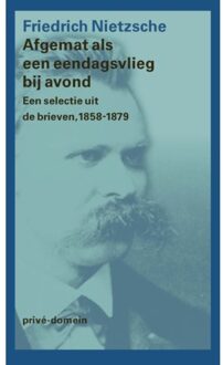 Singel Uitgeverijen Privé-domein 228 -   Afgemat als een eendagsvlieg bij avond