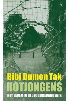 Singel Uitgeverijen Rotjongens - Boek Bibi Dumon Tak (9025363180)