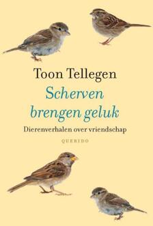 Singel Uitgeverijen Scherven brengen geluk - Boek Toon Tellegen (9021455307)