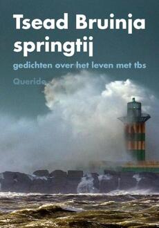 Singel Uitgeverijen Springtij