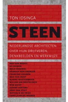Singel Uitgeverijen Steen - Boek Ton Idsinga (9025366937)