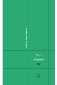 Singel Uitgeverijen Teer - Perpetua - Toni Morrison