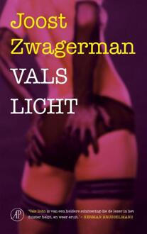 Singel Uitgeverijen Vals licht - Boek Joost Zwagerman (902950627X)