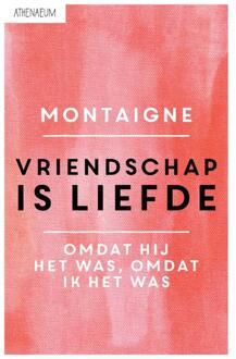 Singel Uitgeverijen Vriendschap is liefde - Boek Michel de Montaigne (9025300715)