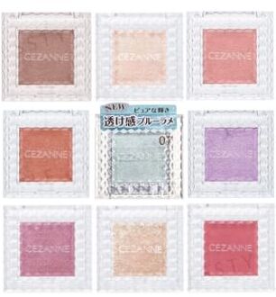 Single Color Eye Shadow 09 Grayish Brown