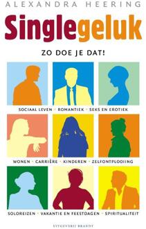 Single geluk - Boek Alexandra Heering (9492037335)