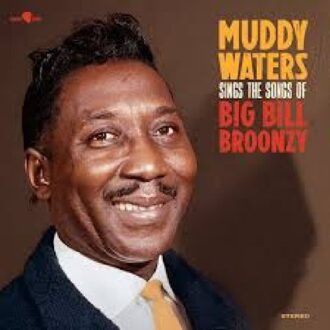 Sings Big Bill - Muddy Waters