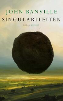 Singulariteiten - John Banville