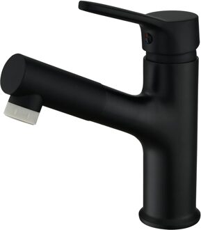 Sink Pull Out Tap Wastafel Kraan Haar Wassen Pull Down Sproeier Kranen zwart