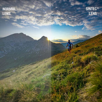 Sinner cupu zonnebril heren - Zwart - One size