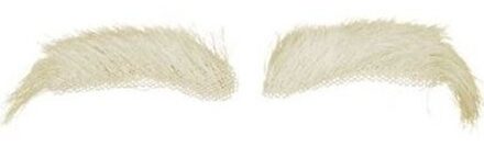 Sinterklaas verkleed wenkbrauwen - 1x - Yakhaar - wit - luxe Sint kostuum accessoires Multi