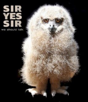 Sir Yes Sir - We Should Talk