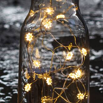 Sirius Heldere LED bloemen lichtketting Silke 20 lampen transparant, zilver