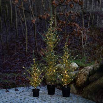 Sirius LED boom Milas Cedar Tree in pot, voor buiten groen, bruin