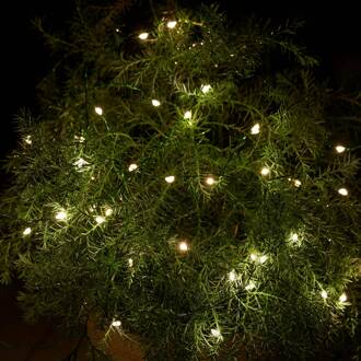 Sirius LED lichtketting Knirke voor buiten, 40 lampjes helder, groen