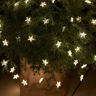 Sirius LED lichtketting Trill, 40 lampjes, groene kabel groen, helder