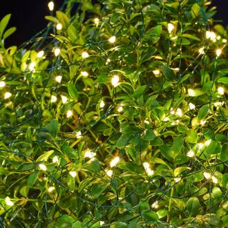 Sirius LED lichtketting voor buiten, 160 lampjes. helder, groen