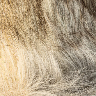 Sjaal in nekmodel met binnenvoering 17I31201 meisje Beige