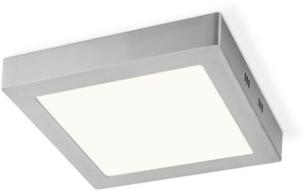 Ska LED Plafondlamp 22 cm - Mat staal Zilver