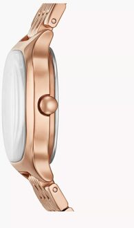 Skagen Mellem Lille Dames Roségouden Horloge SKW3166