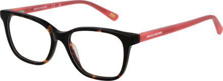 Skechers Brilrand SE1670 052 47 Bruin