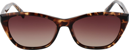 Skechers Zonnebril SE6218 56H 55 Bruin - One Size