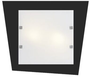 Skinny Plafondlamp, 2x E27, Metaal/glas, Zwart Mat, L45x40cm