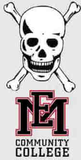 Skull and Logo Men's T-Shirt - Grey - M Grijs