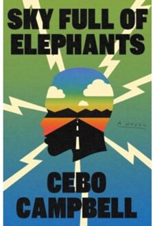 Sky Full Of Elephants - Cebo Campbell