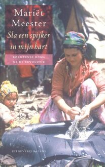 Sla een spijker in mijn hart - eBook Mariët Meester (9460035426)