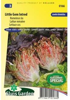 Sla Romeinse Little Gem Intred