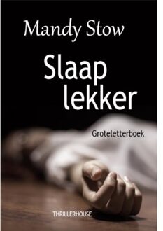 Slaap lekker - Groteletterboek