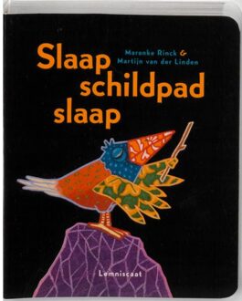 Slaap schildpad slaap - Boek Maranke Rinck (9047703898)