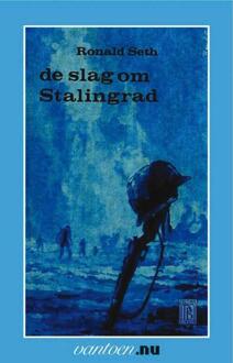 Slag om Stalingrad - Boek R. Seth (9031503304)