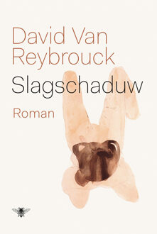 Slagschaduw - Boek David van Reybrouck (9023491874)