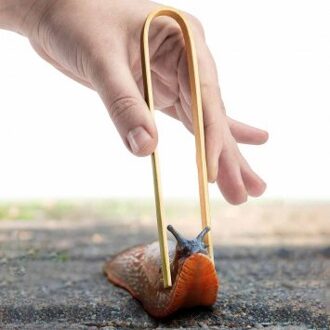 Slakkentang van bamboe, set van 4