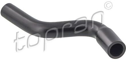 Slang, cilinderkopontluchting 206558