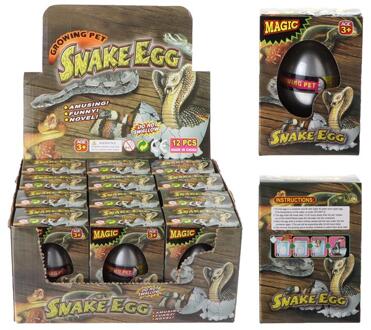 Slang groei-ei in doosje verschillende