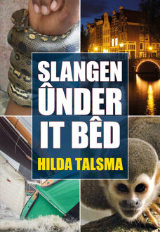 Slangen ûnder it bêd - eBook Hilda Talsma (9089549730)