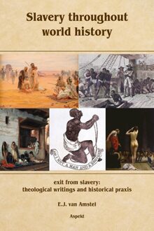 Slavery throughout world history - E.J. van Amstel - ebook